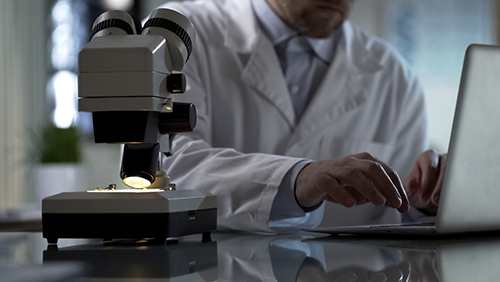 Работа эксперта Работа эксперта